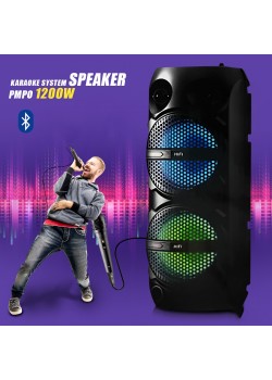 Mobile Rechargeable RX-6208 Multimedia Bluetooth Karaoke System Speaker